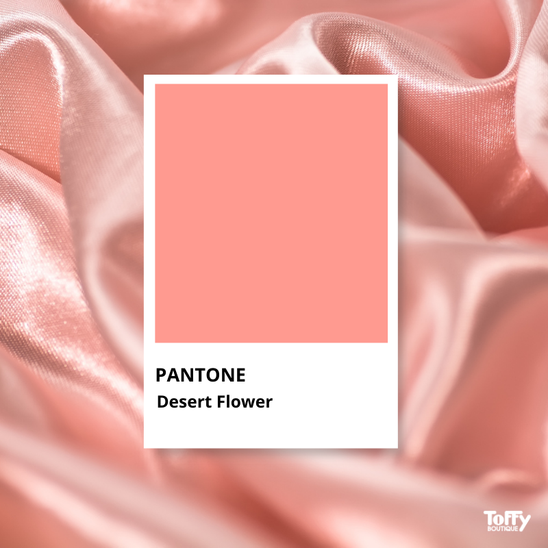 pantone 2021 (3)