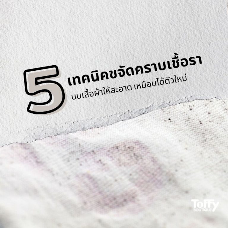 5 เทคนิคขจัดคราบเชื้อราบนเสื้อผ้าให้สะอาด