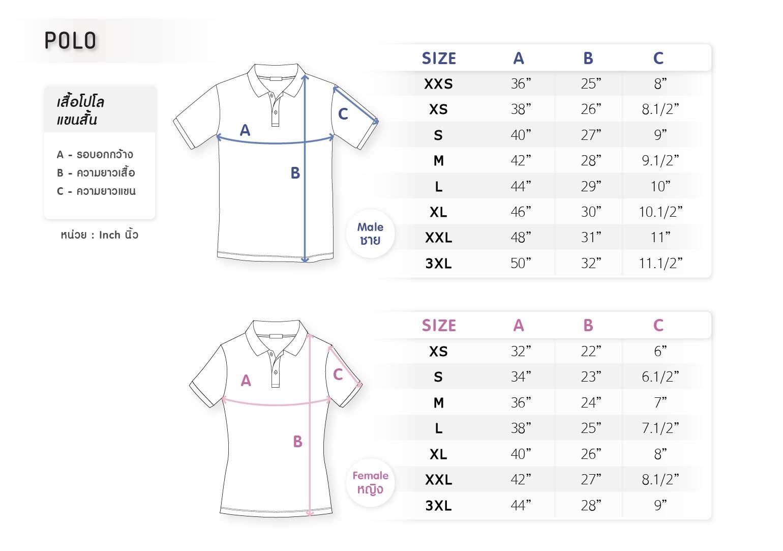 ไซส์เสื้อโปโลแขนยาวชาย-หญิง
